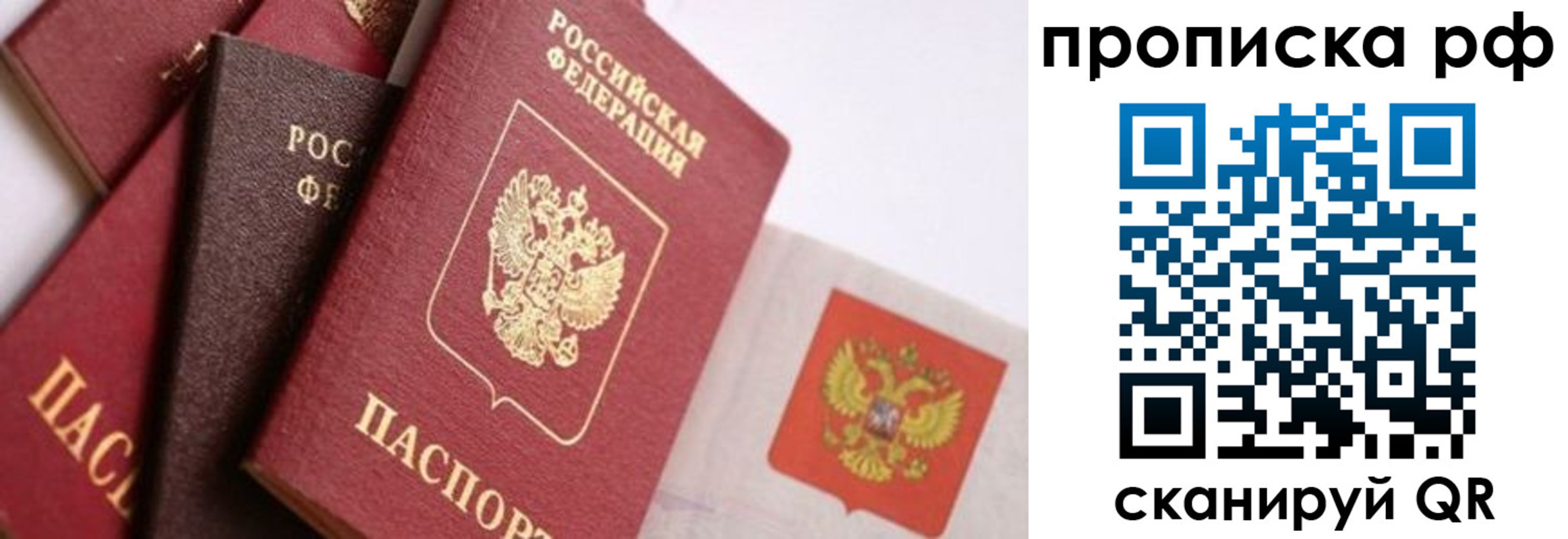 найти адрес прописки в Барыше